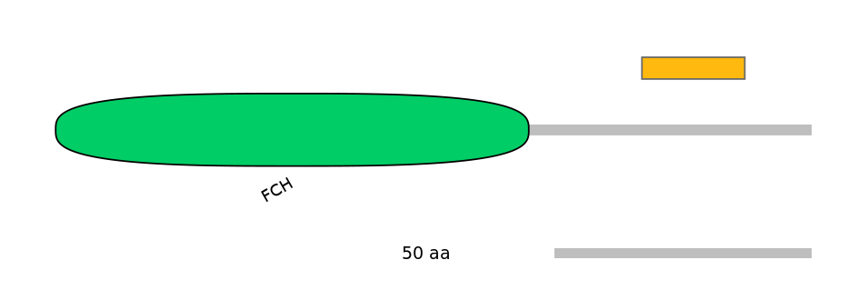 RnoEX0036526-EXC