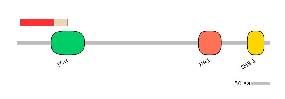 RnoEX0036532-INC
