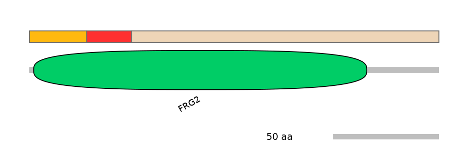 RnoEX0036858-INC