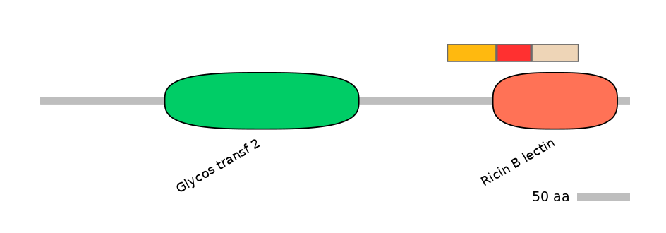 RnoEX0037564-INC