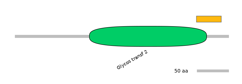 RnoEX0037596-EXC