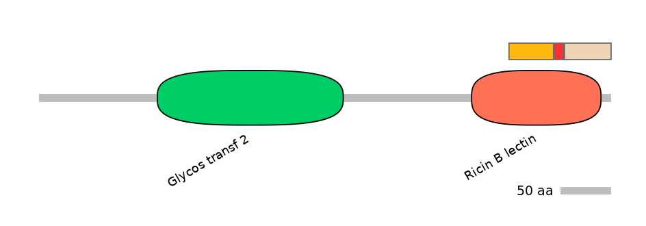 RnoEX0037599-INC