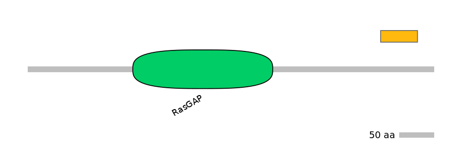 RnoEX0037727-EXC