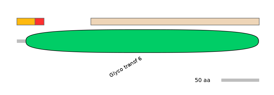 RnoEX0038379-INC