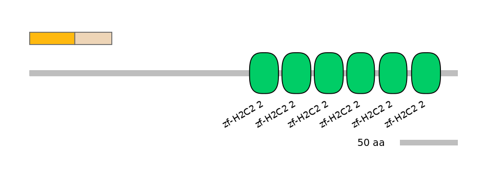 RnoEX0038684-EXC