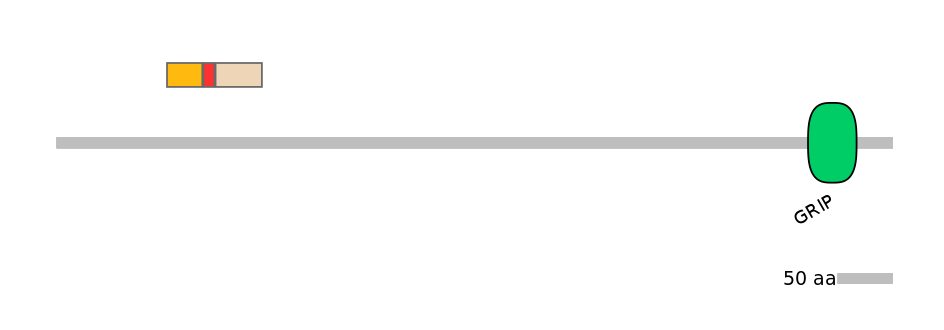 RnoEX0039162-INC