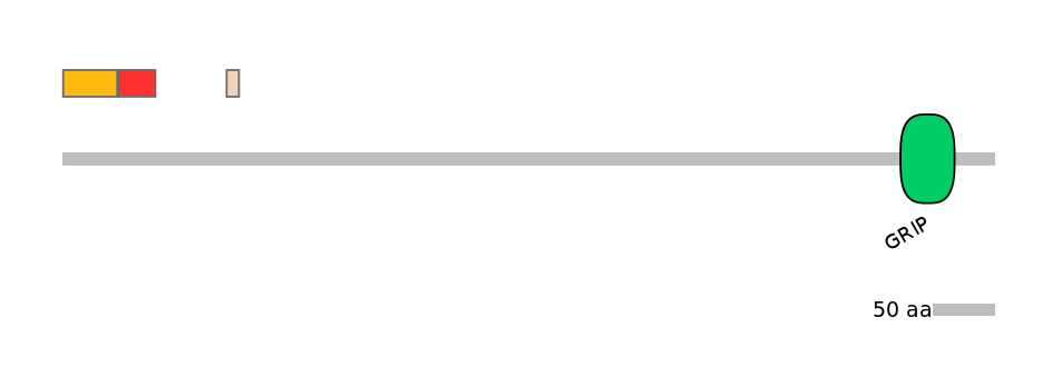 RnoEX0039166-INC