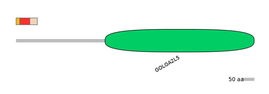 RnoEX0039169-INC