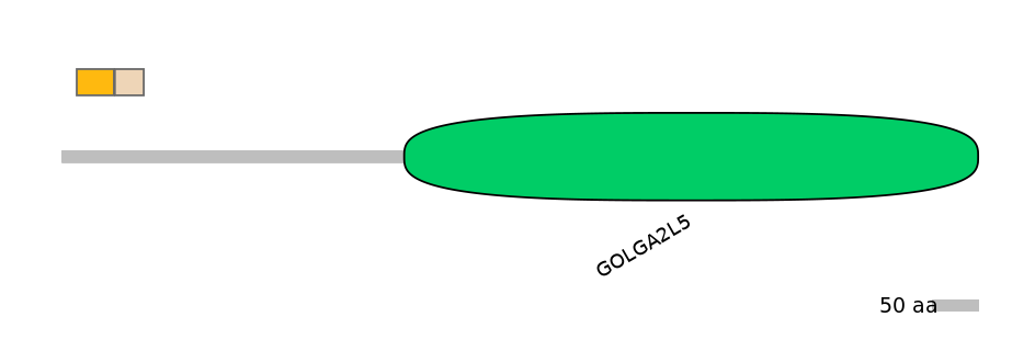 RnoEX0039180-EXC