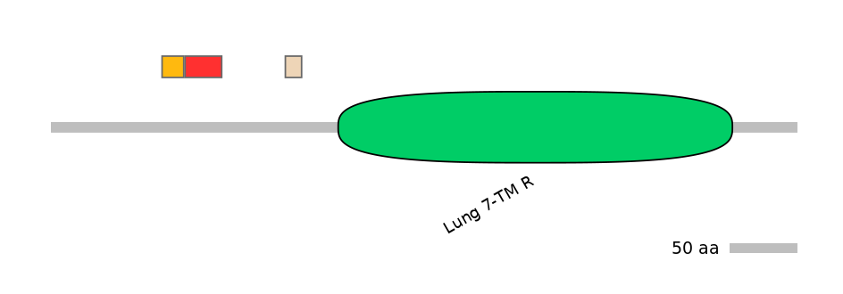 RnoEX0039582-INC