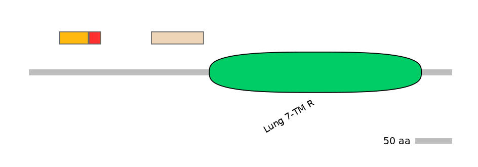 RnoEX0039589-INC