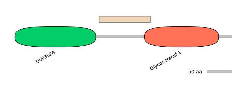 RnoEX0040385-EXC