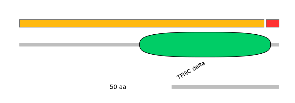 RnoEX0040555-INC