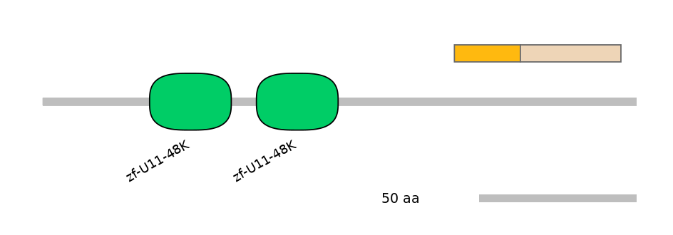 RnoEX0040605-EXC