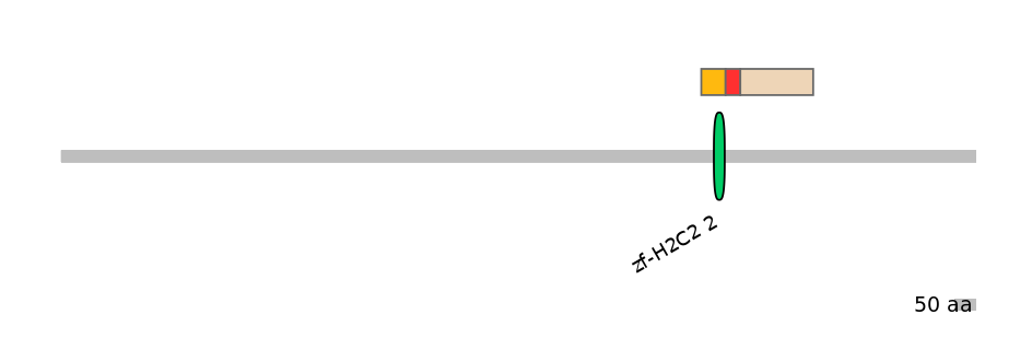 RnoEX0041984-INC