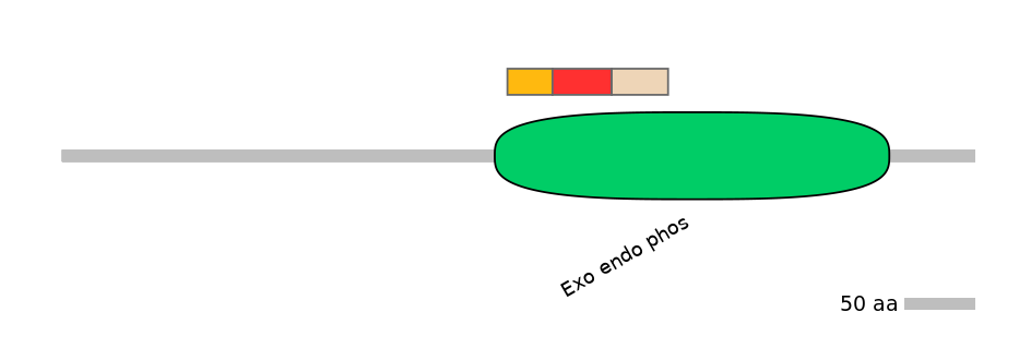 RnoEX0044222-INC