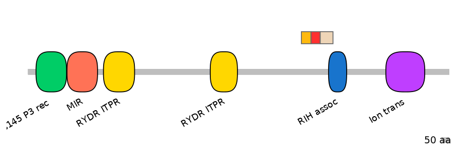 RnoEX0045399-INC