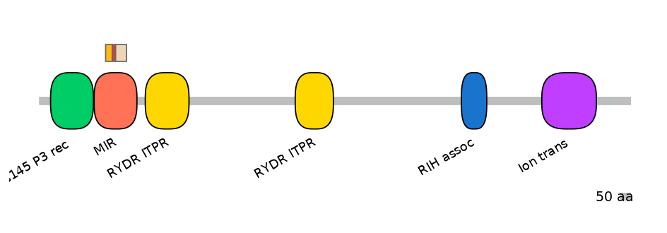RnoEX0045413-INC