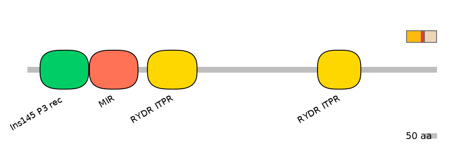 RnoEX0045414-INC