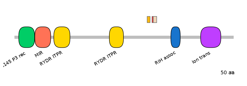 RnoEX0045416-INC