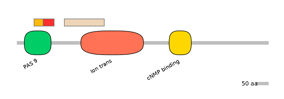 RnoEX0046016-INC