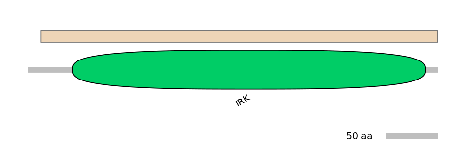 RnoEX0046074-EXC