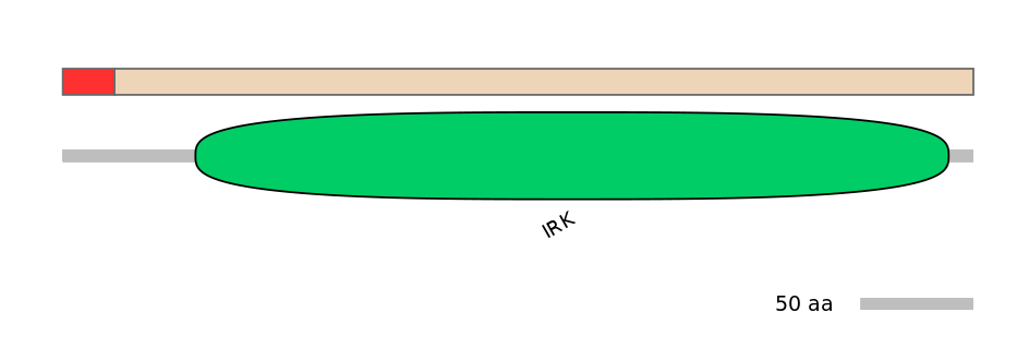 RnoEX0046079-INC