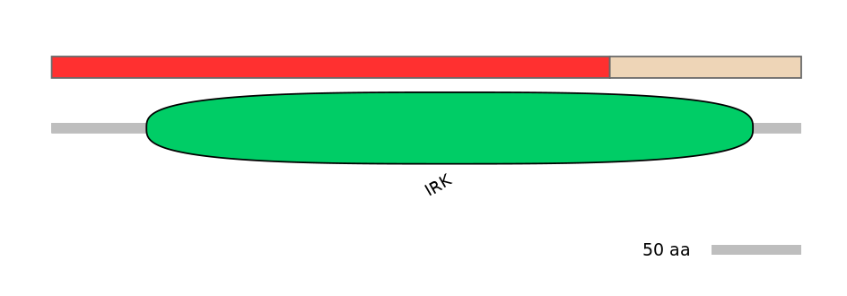 RnoEX0046083-INC