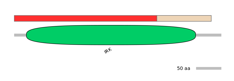 RnoEX0046086-INC