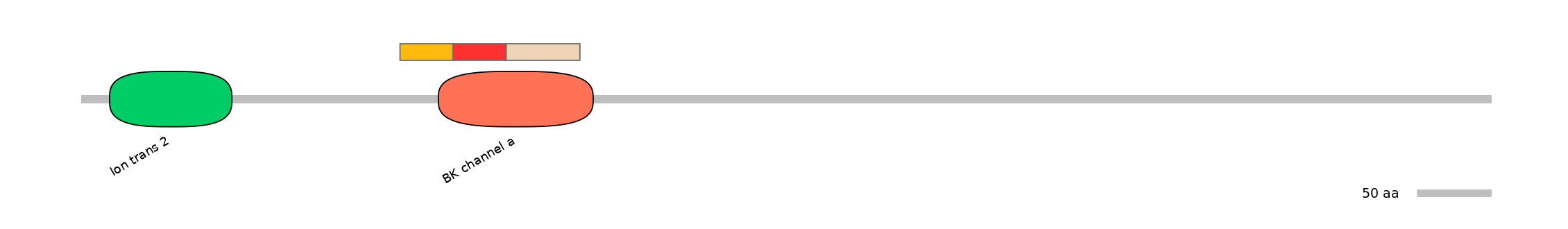RnoEX0046244-INC