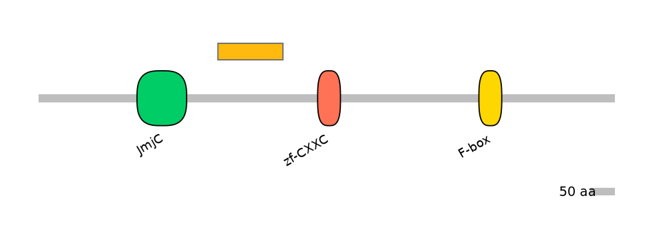 RnoEX0046404-EXC