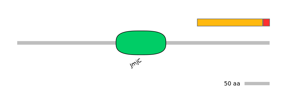 RnoEX0046404-INC