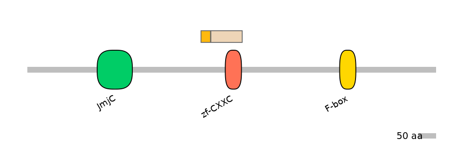 RnoEX0046414-EXC