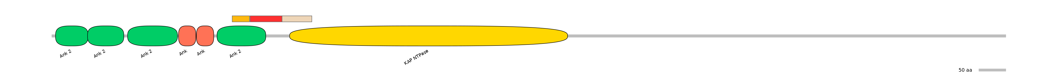 RnoEX0046692-INC