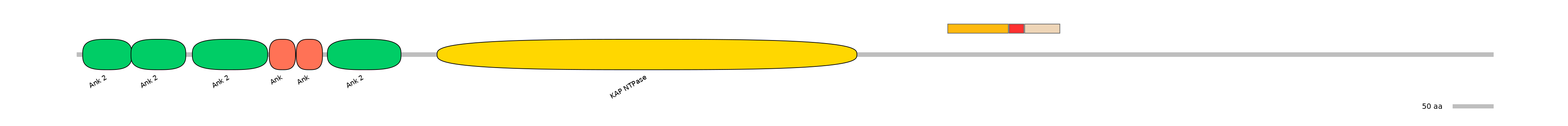 RnoEX0046709-INC