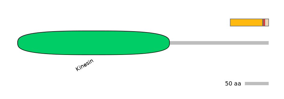 RnoEX0047078-INC