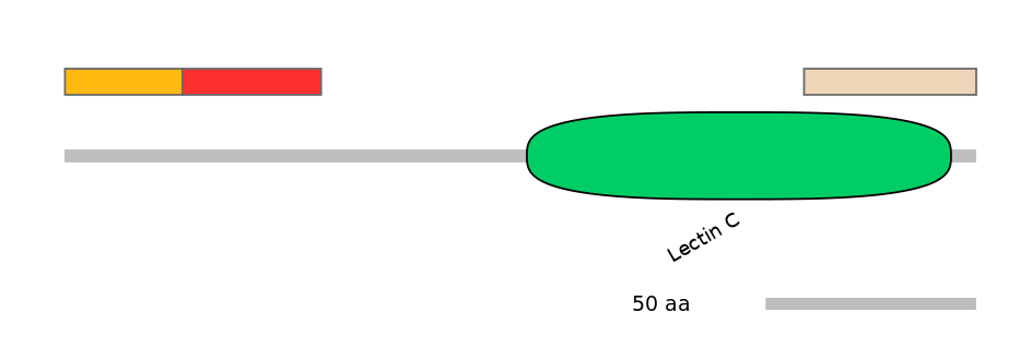 RnoEX0047519-INC