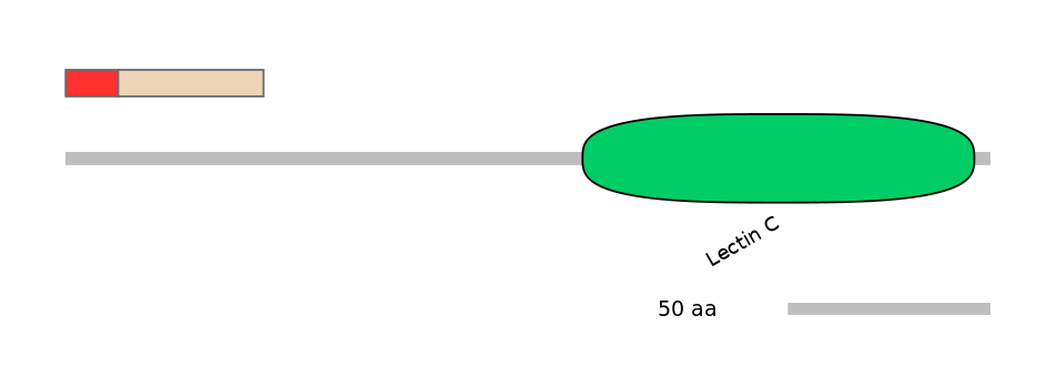 RnoEX0047546-INC