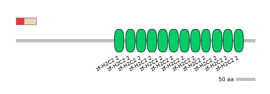 RnoEX0048238-INC