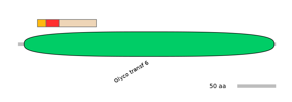 RnoEX0048856-INC