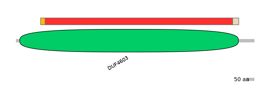 RnoEX0048896-INC
