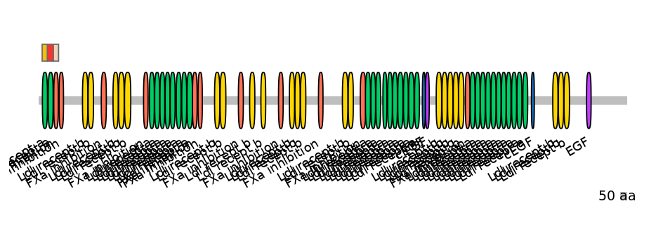 RnoEX0050643-INC