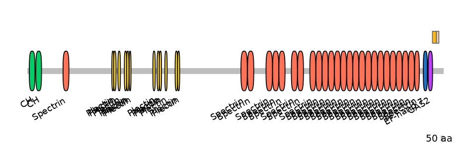RnoEX0051763-EXC