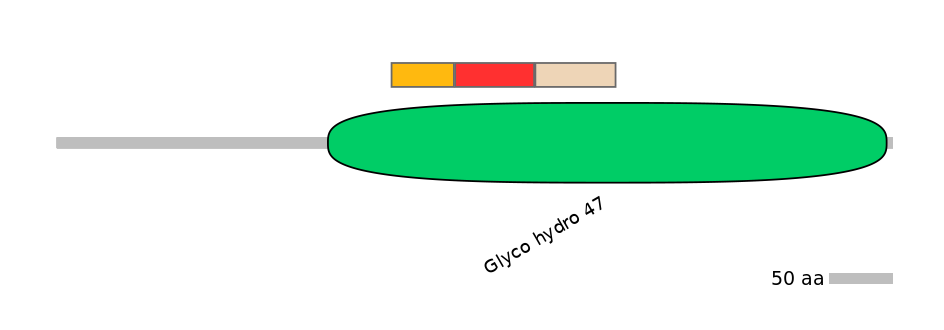 RnoEX0052020-INC