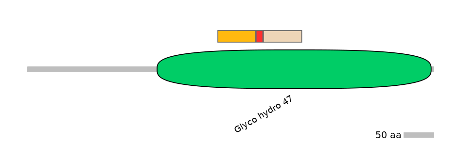 RnoEX0052029-INC