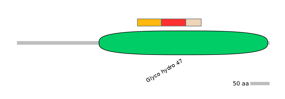 RnoEX0052030-INC