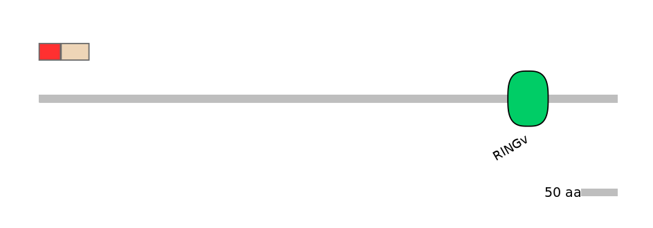 RnoEX0052698-INC