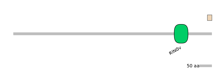 RnoEX0052703-EXC