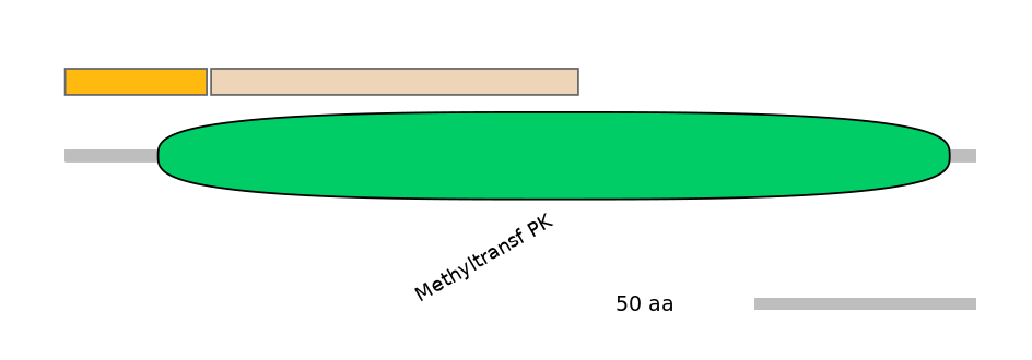 RnoEX0053966-EXC