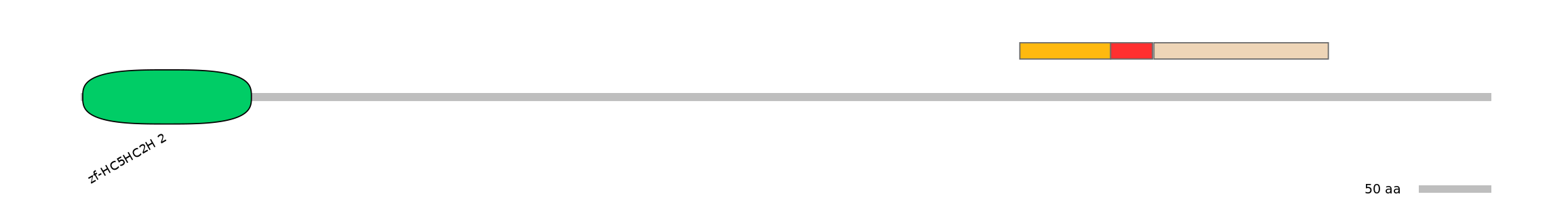RnoEX0054838-INC